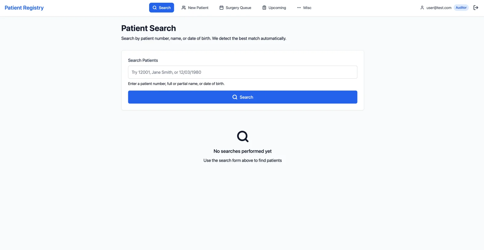The patient search screen of the practice-management system, logged in as a test auditor account, with a placeholder example query